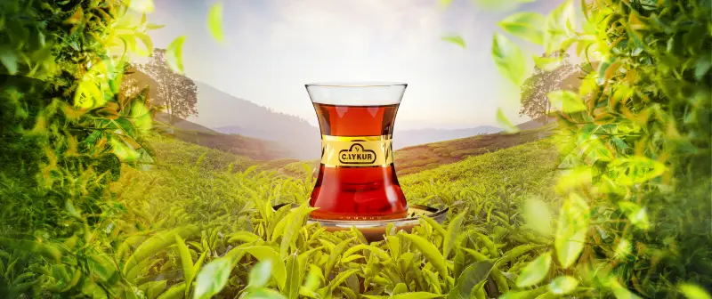 ÇAYKUR