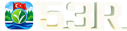 Site Logosu - Rize Haber-53R